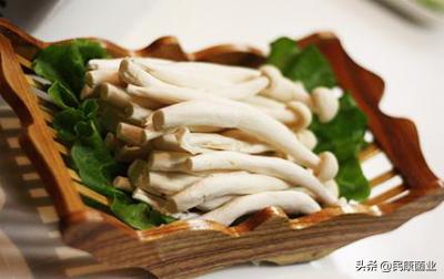 海鲜菇长白毛是发霉了吗,海鲜菇长白毛怎么处理