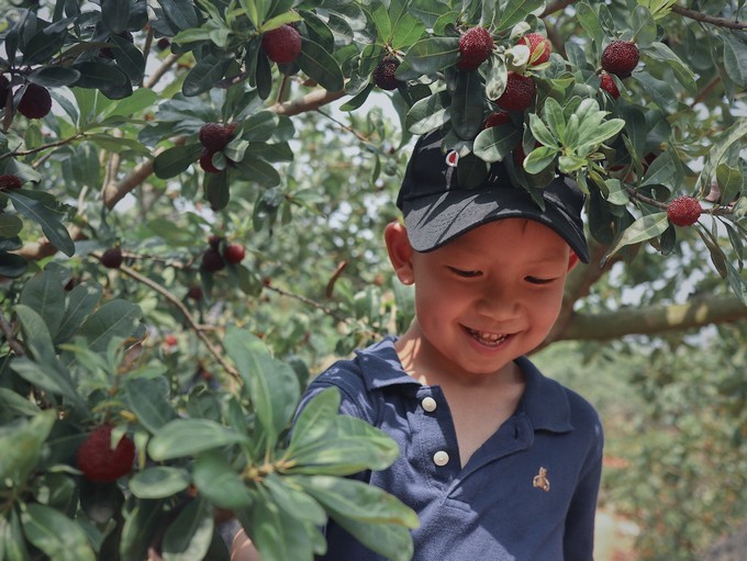 错过救赎山，还有彩虹山，手把手教你把漳州火山岛玩成假装在国外