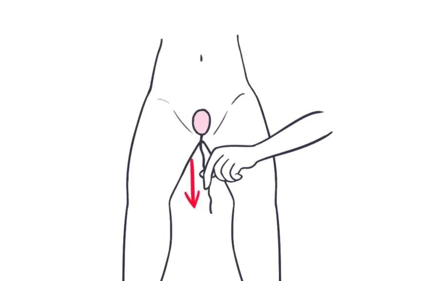 哑铃产后修复怎么做,产后哑铃的正确使用方法