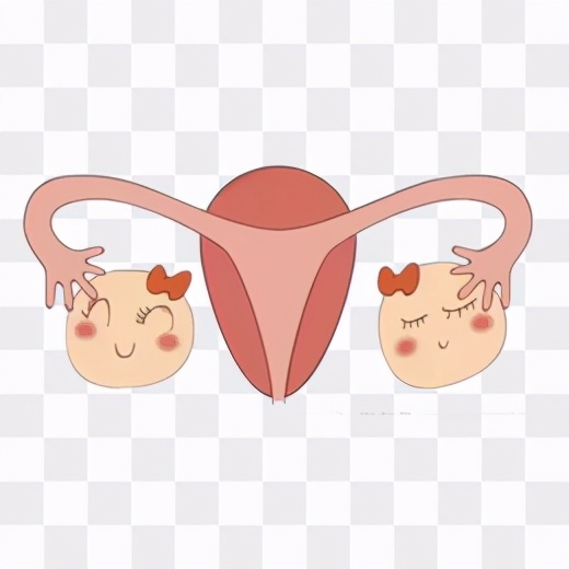 组织器官部分缺失是什么,我们缺失器官可以活多久