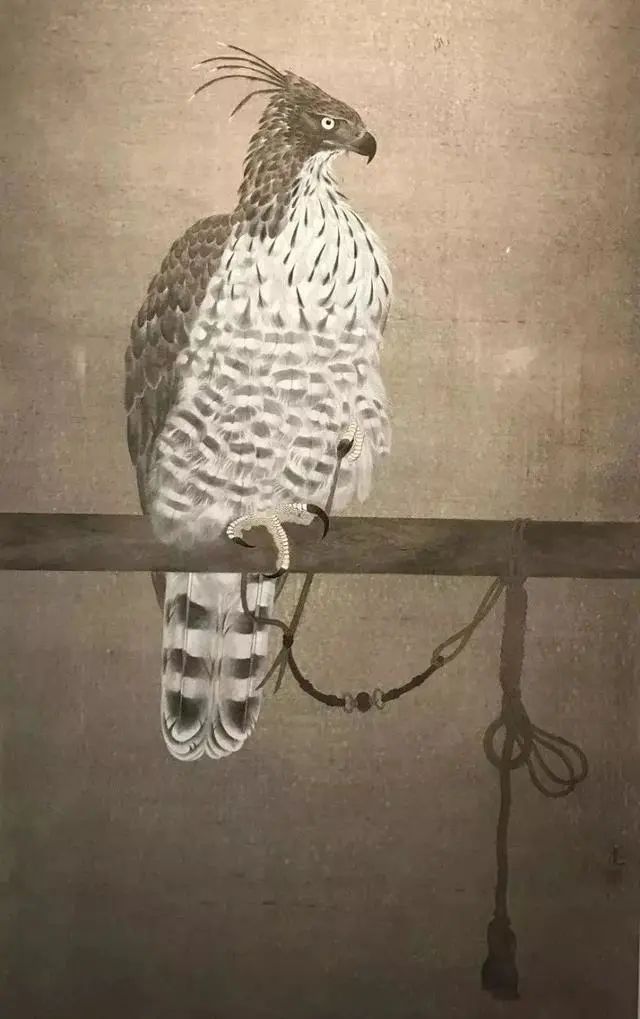 他画的鹰,严谨工致,萧疏威严