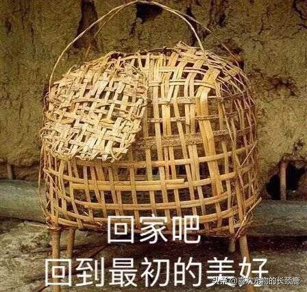 长得丑,火气大,价格昂贵,还不好吃,也许这就是火*吧鸡**