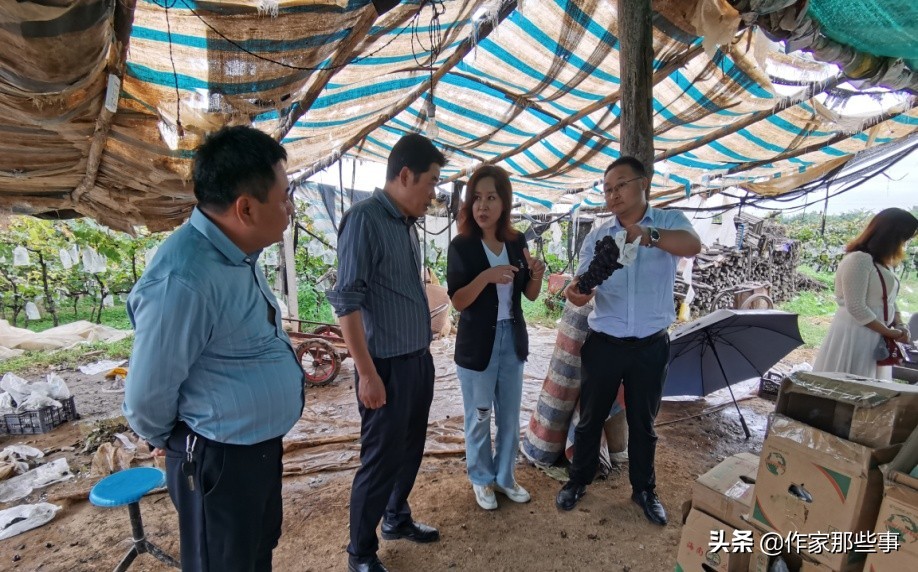 陕西省宝鸡市扶风县召公镇聚粮村,宝鸡扶风县召公镇聚粮村