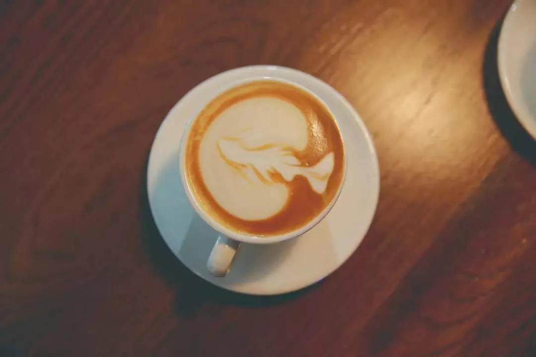 外面零下20℃，绿岛却沸腾了...