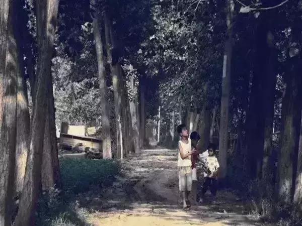 天津胡同老照片新民里胡同,天津金家窑唐家胡同老照片