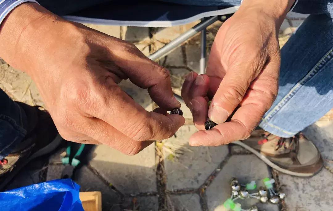 蜗旅旅行人生最新视频,蜗游记vlog