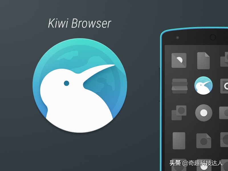 手机浏览器可以扩展flash插件吗,支持扩展的手机浏览器有哪些