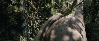 金刚电影中最震撼的一集,金刚最终效果