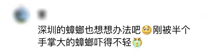 家中蟑螂怎么消灭最彻底,灭蟑王药是怎样消灭蟑螂的
