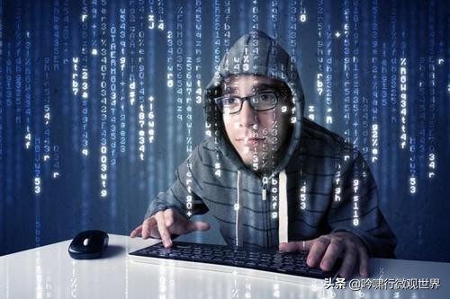 计算机的发展与哪几门学科有关,计算机研究哪些东西