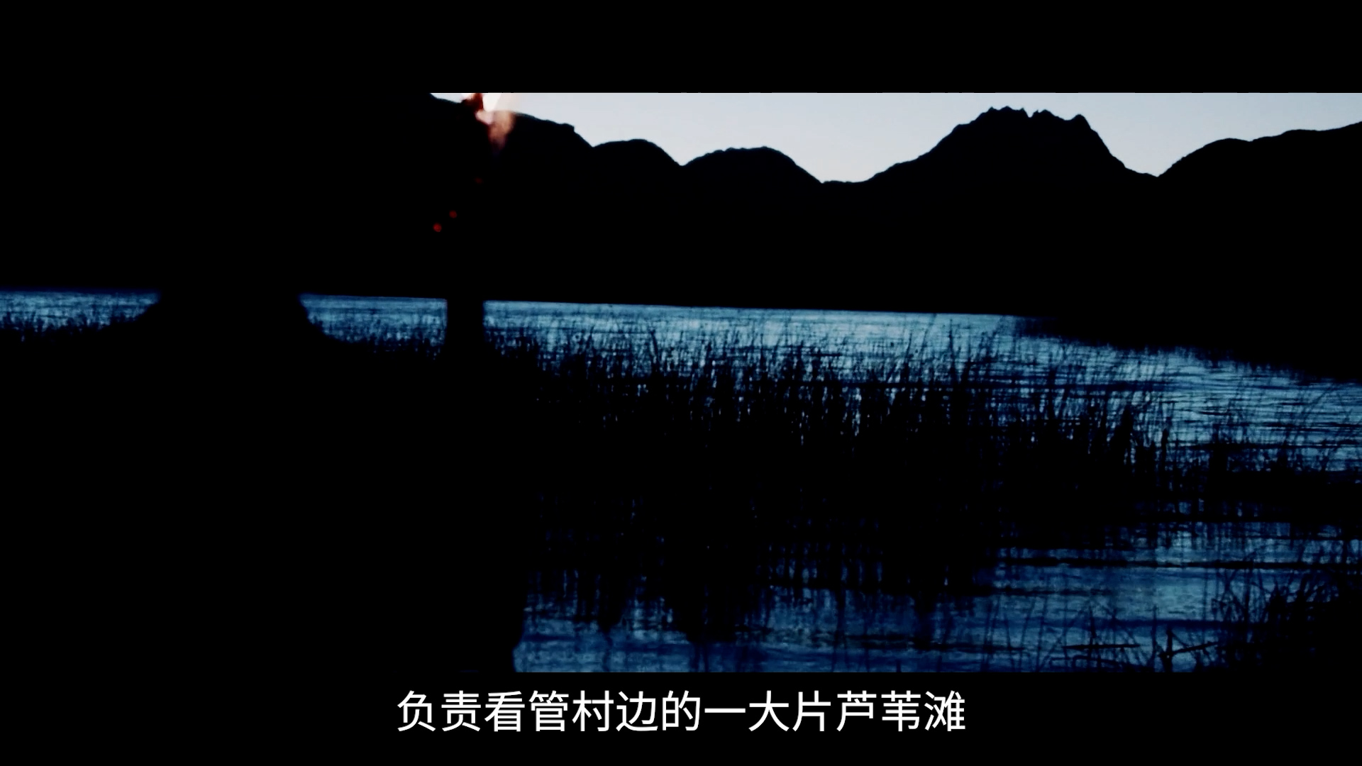 江苏射阳30米巨蟒,江苏射阳出现巨蟒了吗