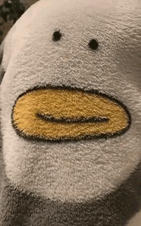 女人遇到狼怎么办,女孩遇见色狼如何自救