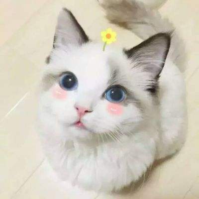 谈恋爱最有用的20条技巧,谈恋爱中怎么追女孩的技巧和方法