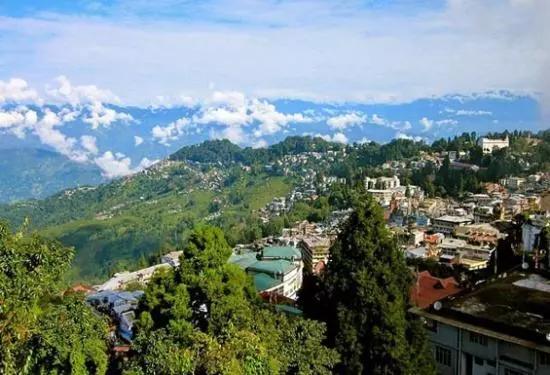 如火如荼|红茶界的F4，来啦