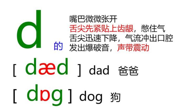 国际英语48个音标发音视频教程,英语零基础音标教程