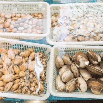 千万别去侨港，怕你玩得太开心不想回家