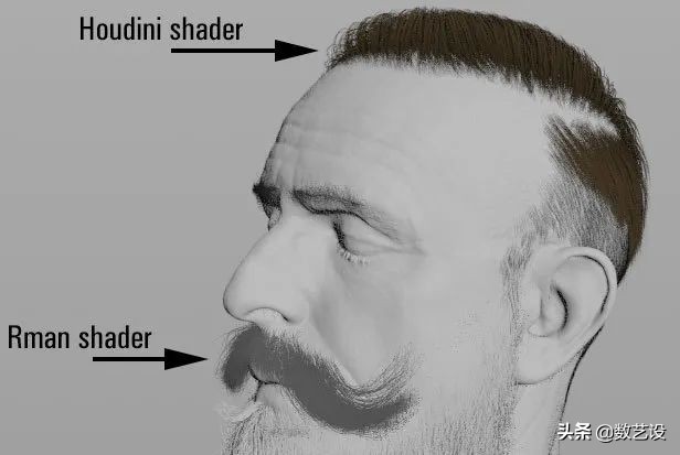 脱发过程3d动画,脱发有救了