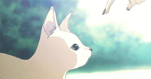 如何将废片修出高级感,如何将废片变高级