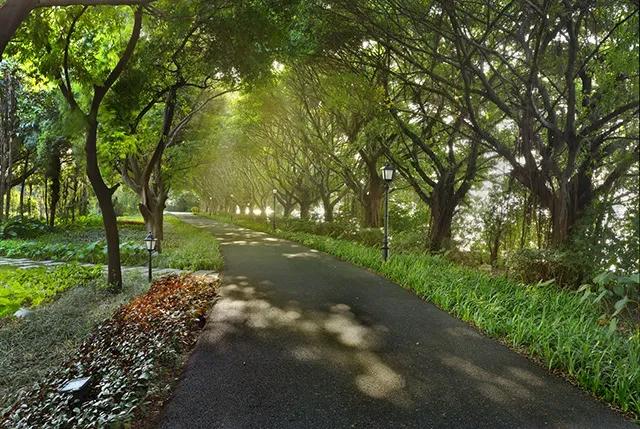 广州看cbd景观豪宅,广州cbd空中豪宅