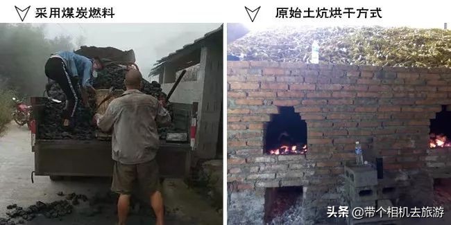 贵州省桐梓县马鬃乡竹笋,桐梓新鲜方竹笋基地