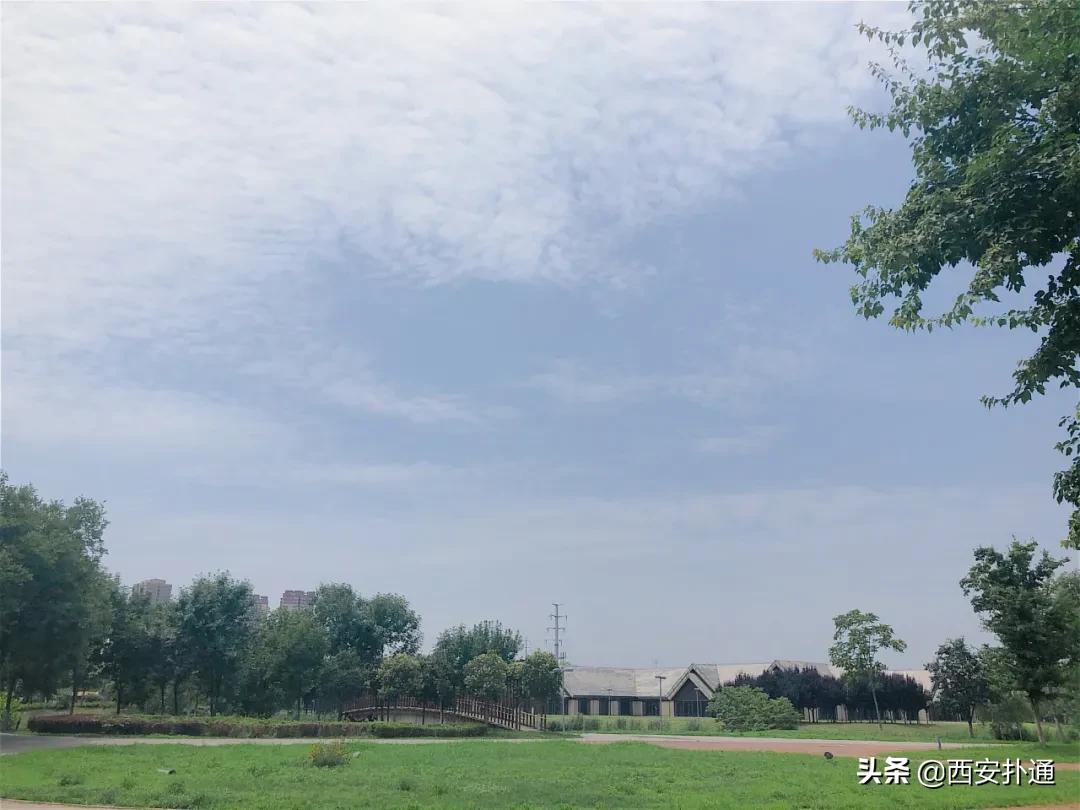 浐灞国家湿地公园最美地方,浐灞湿地公园有啥好玩的