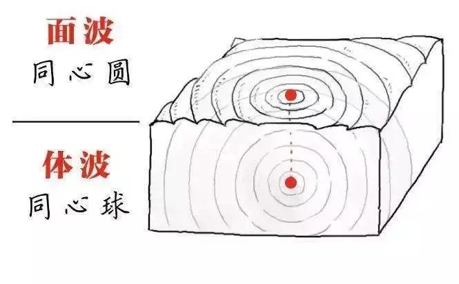 地震波都有什么,地震波纵波和横波