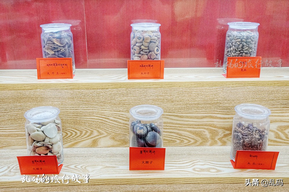 探秘神奇的雪域瑰宝藏医药,探秘神秘医院