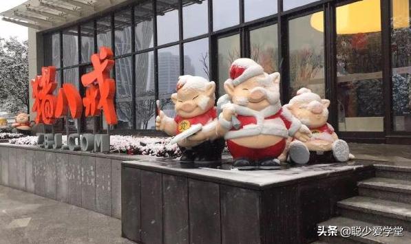 猪八戒网要什么技术才能接单,猪八戒网新手如何入驻