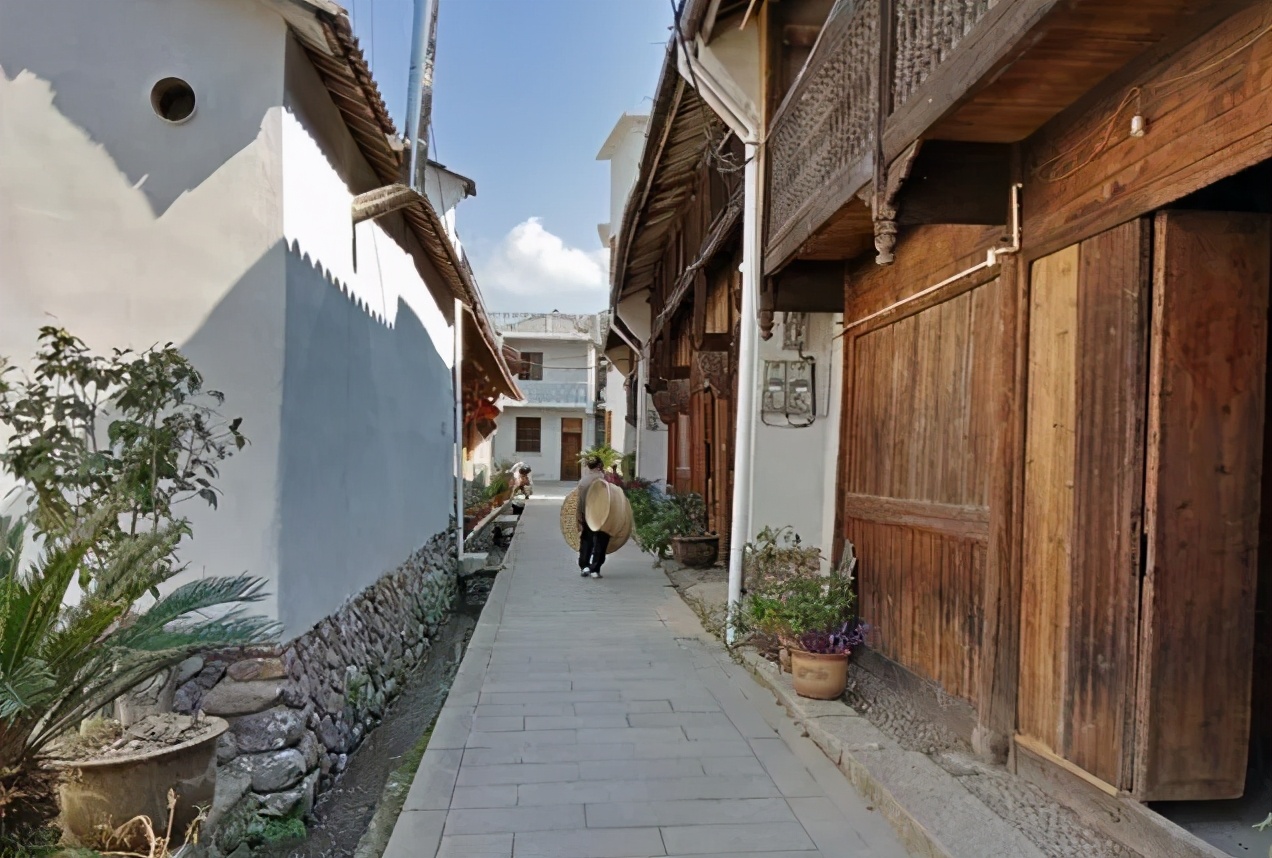 丽水上热搜,浙江丽水现萤火虫星海