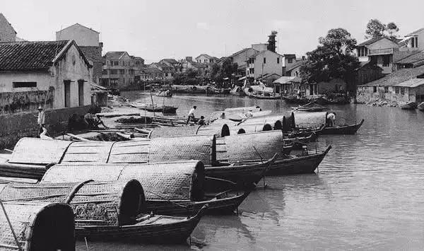 温州人在欧洲做生意厉不厉害,温州人做生意跟贵州人不同