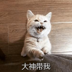 椰树椰汁终于换logo,椰树牌椰汁风格设计模板