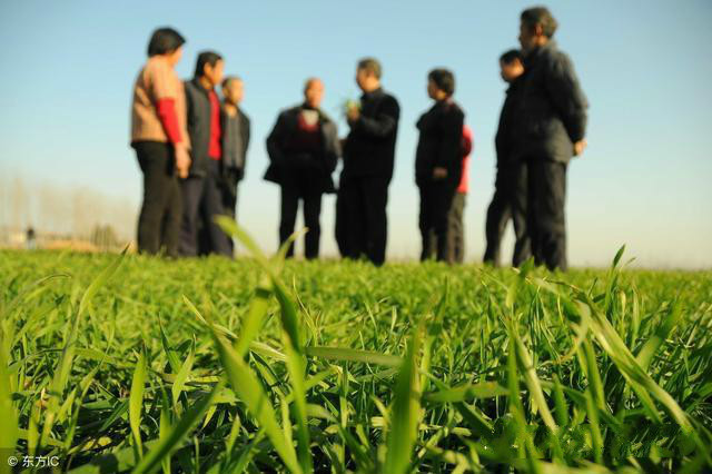 农民的土地被拆迁了怎么办,农民土地被收回怎么办