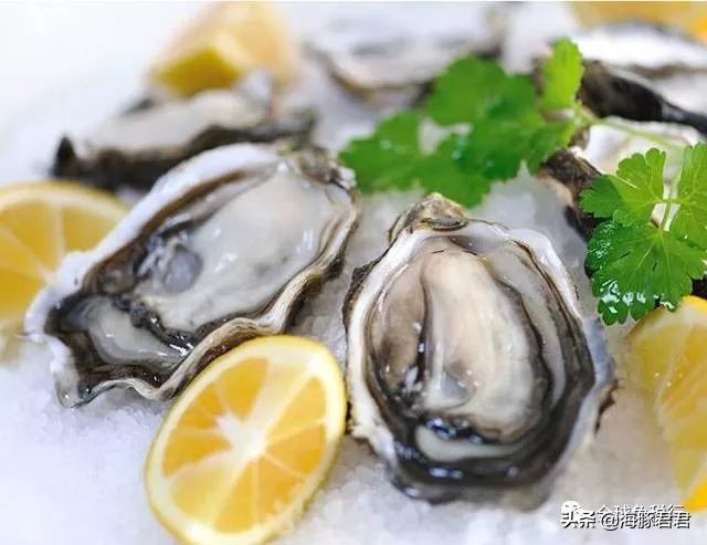 奥克兰旅游必买清单,新西兰奥克兰旅游攻略最全