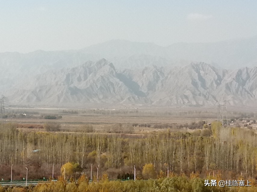 璇楀厔璇撮摱宸濊瘽瑙嗛,璇楀厔璇楄瘝