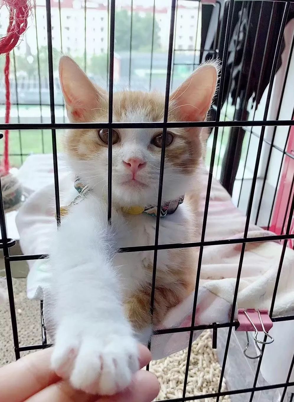 在哔哩哔哩上班的条件,在哔哩哔哩工作