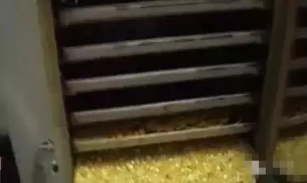 原来这些石头都是烤箱里做出来的,石头都是烤箱里做出来的