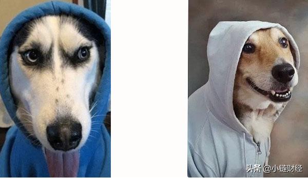 n号房案件主谋被抓了吗,n号房间事件主谋