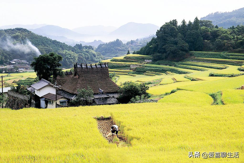 立秋日，老人说男女老少要吃这肉，美容养颜强健骨骼预防骨质疏松