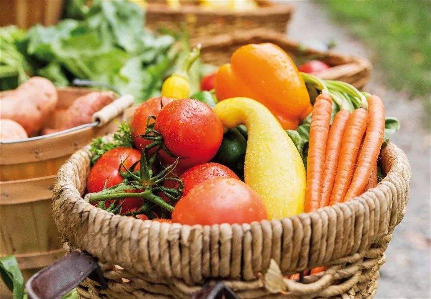 喜欢美食烹饪,喜欢美食就动手做