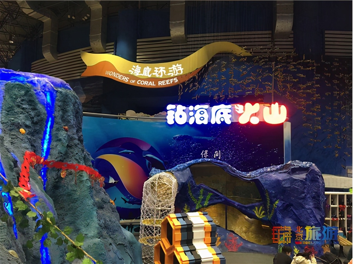 北京动物园海洋馆锦鲤,北京海洋馆锦鲤