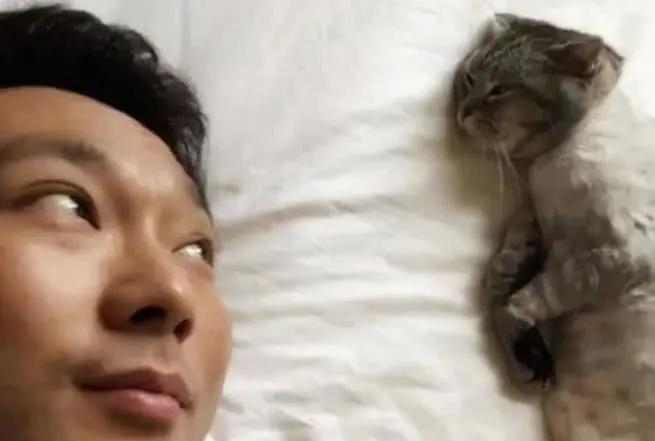 没想到,央视的名嘴们全都是猫奴