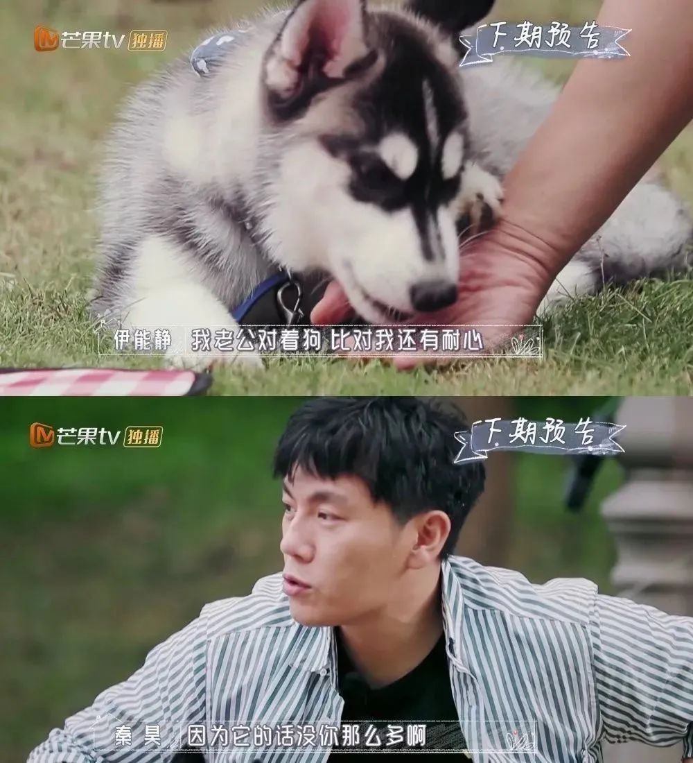 火热|为“披荆斩棘”的姐夫们打Call