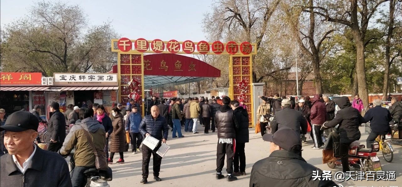 天津的早市儿有哪些,津沽最好的早市