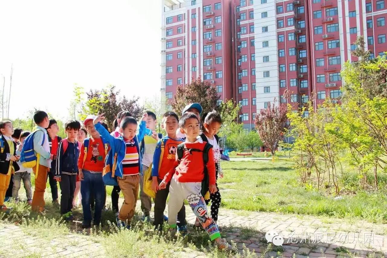 派尼幼儿园,贝蒙幼儿园幼小衔接课程