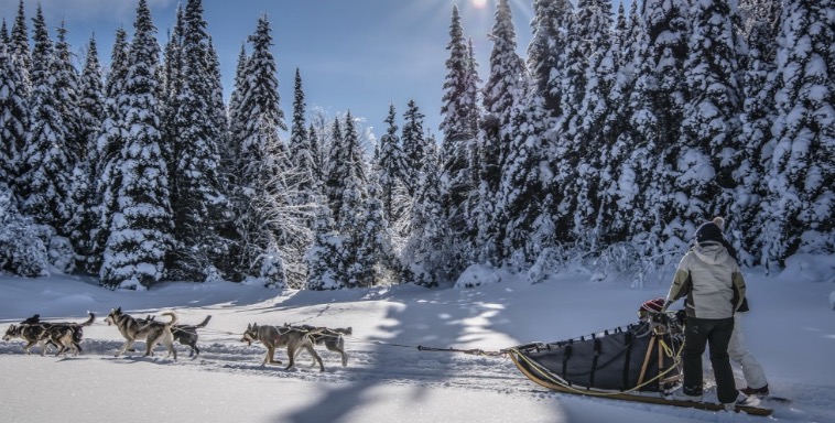 冬天好玩的地方,魁北克什么季节好玩