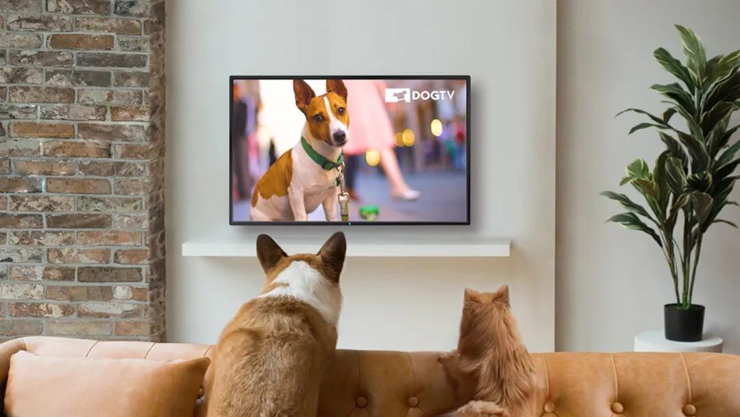 Youarefunny可不是你很有趣！这样夸人，小心对方跟你急