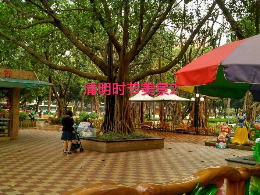 枫林诗苑落花诗句,枫林诗苑古诗