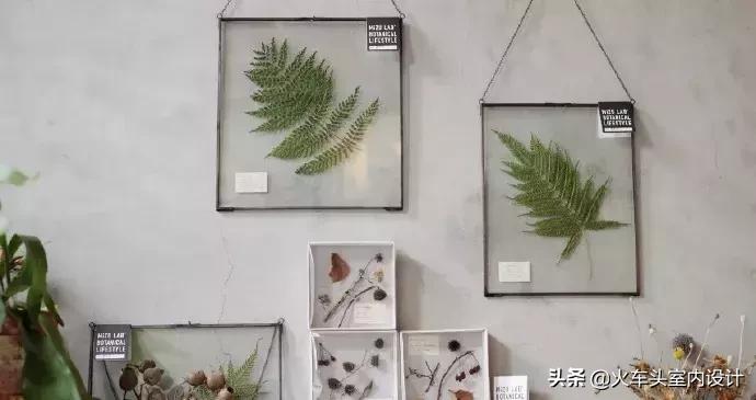 她放弃了总监职位后续,她辞去总监回家扶贫全集