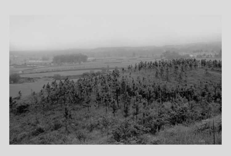 走过58个春夏秋冬,走过55个春夏秋冬