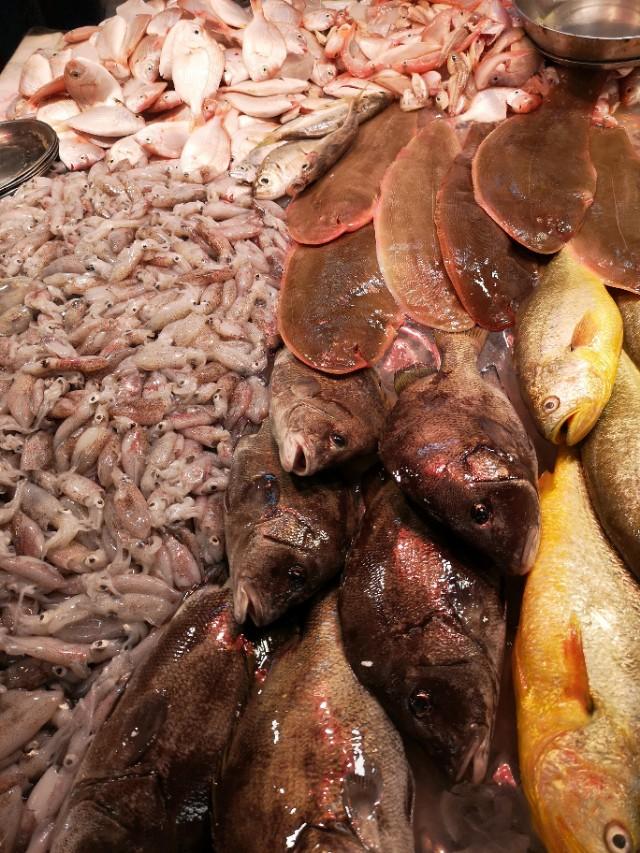 香港西贡游记下,香港最后一天去哪玩好